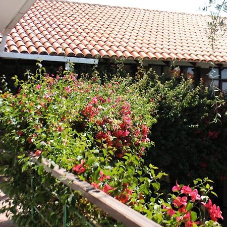 Hostal Viejo Olivo Sucre Exterior photo