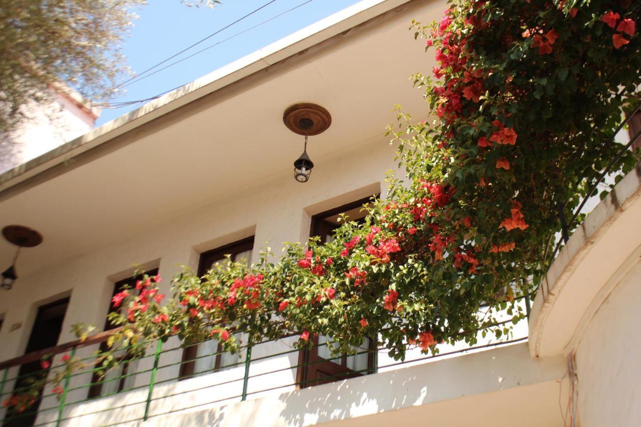 Hostal Viejo Olivo Sucre Exterior photo